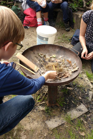 Grauohrbande - tierisch wild!