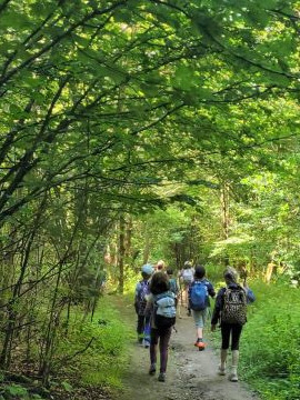 Abenteuer Frühlingsforscher*innen (1. Woche)