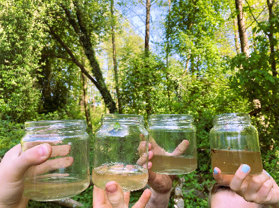 Vier Schraubgläser mit unterschiedlich sauberem Wasser werden von Kinderhänden gehalten.