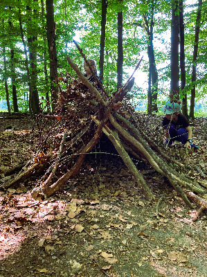 Kinder gehen auf einem Weg in den Wald