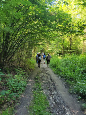 Abenteuer Wald - Ferienspiele mit NatURsinn und der OGS Eichendorffschule (AWO)