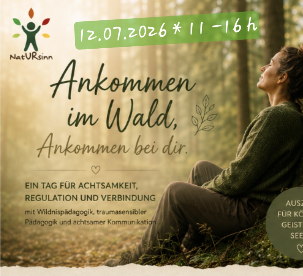 Ankommen im Wald - Ankommen bei Dir.